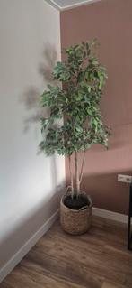 Mooie kunstboom voor binnen, Huis en Inrichting, Ophalen, Zo goed als nieuw, Binnen