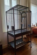 Montana Madeira II, Dieren en Toebehoren, Ophalen, Zo goed als nieuw, Metaal, Vogelkooi