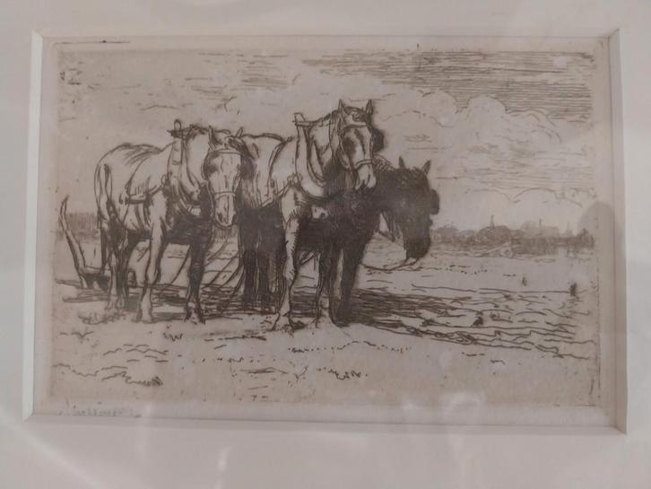 waalco j dingemans ets rustende trekpaarden, Antiek en Kunst, Kunst | Tekeningen en Foto's, Ophalen of Verzenden