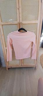 Paardrij kleding . T-shirt  maat 140 , broek maat 140, Dieren en Toebehoren, Paardrijkleding, Gebruikt, Kinderen, Ophalen of Verzenden