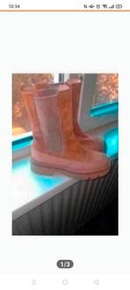 Dames schoenen Paul noyen mt.38 1/2, Beige, Lage of Enkellaarzen, Ophalen of Verzenden, Zo goed als nieuw