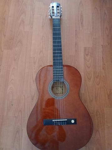 Gitaar met hoes en muziekstandaard  en een beginners boek beschikbaar voor biedingen