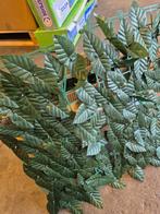 Set van 32 Kunstplanten Tegels 24x48 cm, Kunststof, Minder dan 100 cm, Nieuw, Unknown@unknown.com