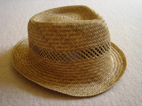 Stoere Zomerse Heren Strohoed (omtrek 59 cm) NIEUW, Kleding | Heren, Hoeden en Petten, Nieuw, Hoed, 58 of 59 cm (L, 7¼ of ⅜ inch)