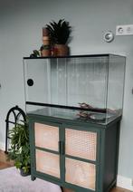 Terrarium 80x50x40, Dieren en Toebehoren, Reptielen en Amfibieën | Toebehoren, Ophalen, Zo goed als nieuw, Terrarium of Paludarium