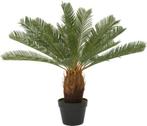 Kunstplant Cycas H 100 cm, Ophalen, Zo goed als nieuw, Binnen