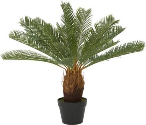 Kunstplant Cycas H 100 cm, Huis en Inrichting, Woonaccessoires | Kunstplanten en Kunstbloemen, Zo goed als nieuw, Binnen, Ophalen
