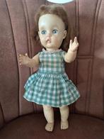 Vintage Pedigree pop Engeland, Ophalen of Verzenden, Gebruikt, Pop