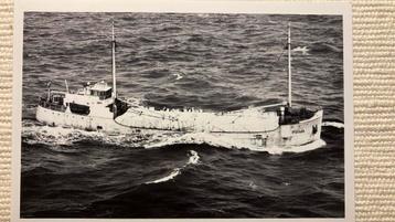 Prima '32  Dammers Heide Vooruit Spaarndam  AANBIEDING beschikbaar voor biedingen