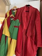 Carnavalskleding, Ophalen of Verzenden, Gedragen, Overige maten, Carnaval