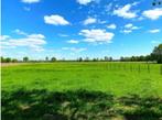 Weiland te huur., Dieren en Toebehoren, Stalling en Weidegang, Weidegang