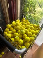 GRATIS!!! tennisballen (totaal paar 100 beschikbaar), Sport en Fitness, Tennis, Overige merken, Ballen, L00, Ophalen of Verzenden