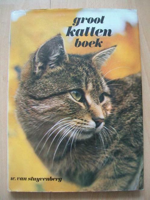 Groot katten boek - W. van Stuijvenberg - 1976, Boeken, Dieren en Huisdieren, Zo goed als nieuw, Katten, Ophalen of Verzenden
