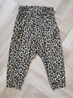 Harembroek mt. S, Overige kleuren, Verzenden, Zo goed als nieuw, Driekwart