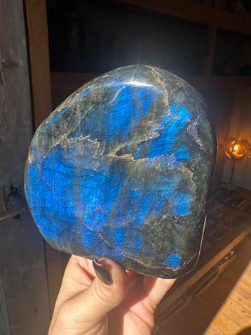 Werkelijk uniek: intens blauw en fullflash | labradoriet beschikbaar voor biedingen