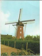 Horn Molen, Verzamelen, Ansichtkaarten | Nederland, Verzenden, Ongelopen, Limburg