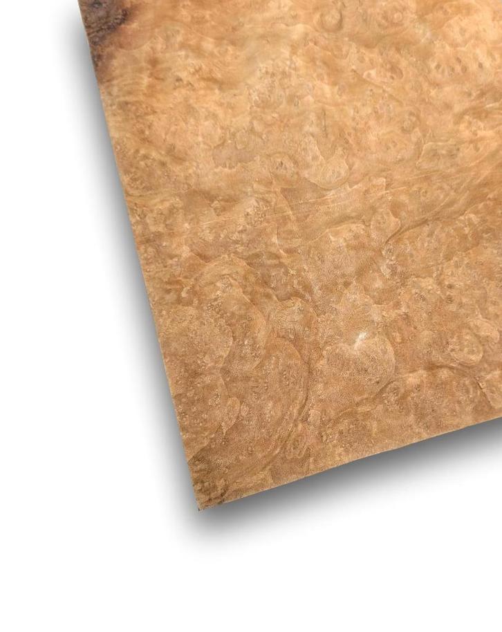 Laurel wortel fineer | 26x25 cm, Hobby en Vrije tijd, Overige Hobby en Vrije tijd, Nieuw, Verzenden