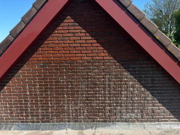 Voeger aangeboden gevel renovatie  beschikbaar voor biedingen