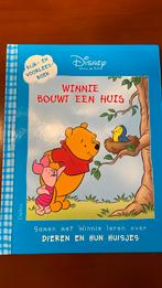 Disney: Winnie bouwt een huis, Ophalen of Verzenden, Zo goed als nieuw, 3 tot 4 jaar