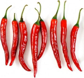 Cayennepeper long slim plantjes  beschikbaar voor biedingen