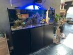 Red sea reefer 525 compleet, Ophalen, Zo goed als nieuw, Leeg aquarium