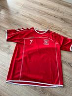 Go Ahead Eagles player worn trainingshirt 2011/2012 maat L, Sport en Fitness, Voetbal, Maat L, Ophalen of Verzenden, Zo goed als nieuw