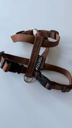 Teckel H-tuigje Harnas Hashteckel mt S bruin, Ophalen of Verzenden, Zo goed als nieuw
