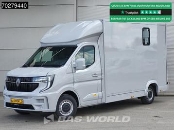 Renault Master 130PK 2025 model Paardenwagen Hengstenuitvoer beschikbaar voor biedingen