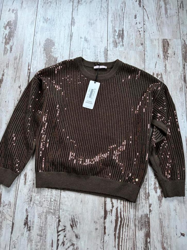Studio Anneloes Trui XL met Pailletten - Zo Goed Als Nieuw, Kleding | Dames, Truien en Vesten, Zo goed als nieuw, Maat 46/48 (XL) of groter