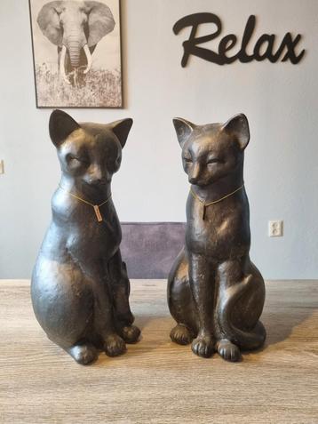 Poezen set nieuw  beschikbaar voor biedingen