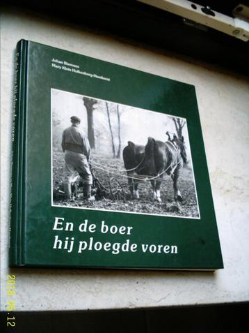 Ontginning De Witrijt (in de Kempen). beschikbaar voor biedingen