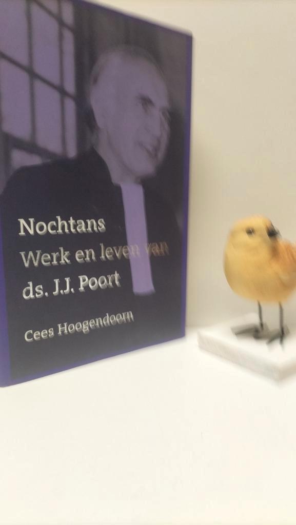 Hoogendoorn, Cees; Nochtans (Ds. J.J. Poort), Boeken, Godsdienst en Theologie, Gelezen, Christendom | Protestants, Ophalen of Verzenden