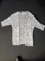 Vest coolcat maat l heeft een 3/4 mouw, Kleding | Dames, Truien en Vesten, Coolcat, Ophalen of Verzenden, Zo goed als nieuw, Maat 42/44 (L)