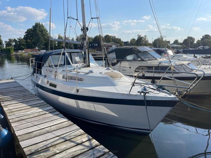 Albin 82 MS zeiljacht, Watersport en Boten, Kajuitzeilboten en Zeiljachten, Zo goed als nieuw, Tourjacht of Cruiser, Polyester