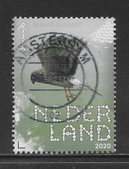 2020, Roofvogels en Uilen, Blauwe Kiekendief [3818] (K0809), Postzegels en Munten, Postzegels | Nederland, Ophalen of Verzenden