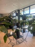 roomdivider, Ophalen, Zo goed als nieuw
