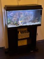 Juwel Primo 110 Aquarium, Dieren en Toebehoren, Vissen | Aquaria en Toebehoren, Ophalen, Gebruikt, Leeg aquarium