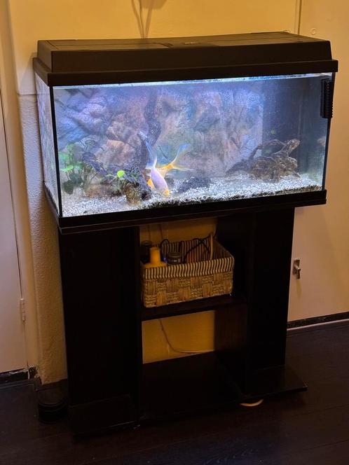 Juwel Primo 110 Aquarium, Dieren en Toebehoren, Vissen | Aquaria en Toebehoren, Gebruikt, Leeg aquarium, Ophalen