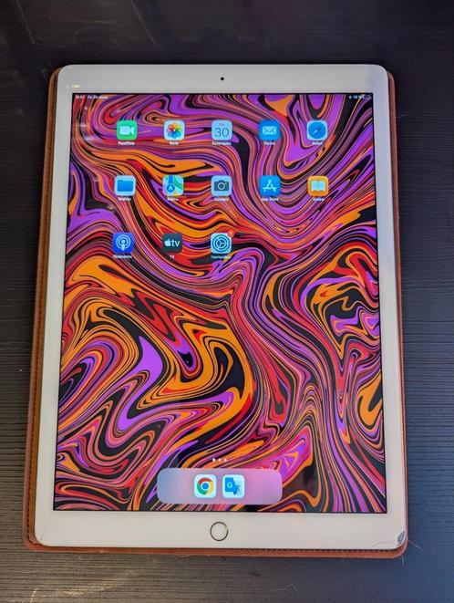 ipad pro 12.9 256gb, Computers en Software, Apple iPads, Gebruikt, Apple iPad, Ophalen of Verzenden