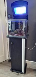 Gevuld zoutwater aquarium, Dieren en Toebehoren, Vissen | Aquaria en Toebehoren, Ophalen, Gebruikt, Gevuld zeewateraquarium