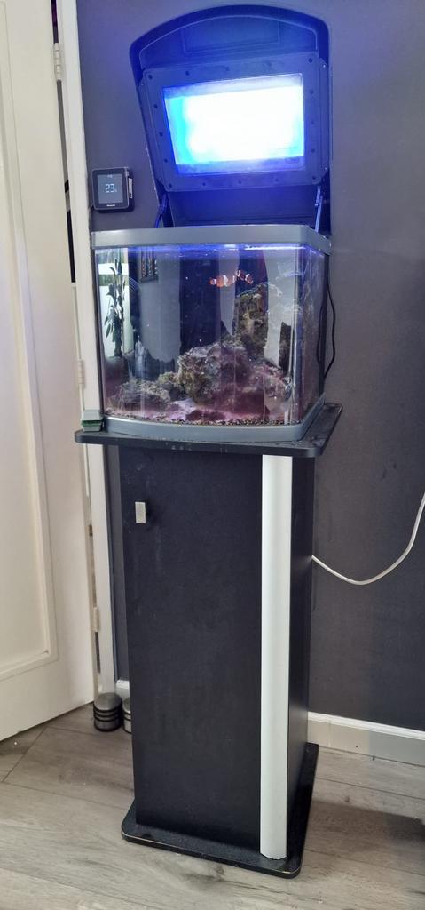 Gevuld zoutwater aquarium, Dieren en Toebehoren, Vissen | Aquaria en Toebehoren, Gebruikt, Gevuld zeewateraquarium, Ophalen