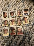 Roda jc panini vanderhout 1981-1982, Ophalen of Verzenden, Gebruikt, Buitenlandse clubs