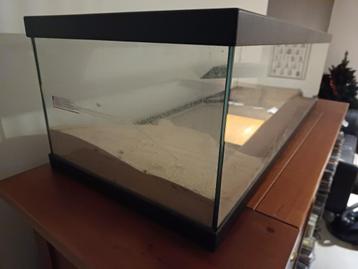 Open terrarium beschikbaar voor biedingen