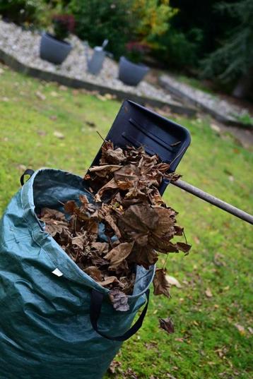 Bladruimen ZONDER BUKKEN, geen irritant stoffer + blik! beschikbaar voor biedingen