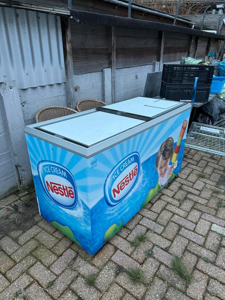 Professionele IJs Vriezer - Horeca, Witgoed en Apparatuur, Vriezers en Diepvrieskisten, Gebruikt, Ophalen of Verzenden