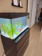 Aquarium Jewel rio 125, Ophalen, Gebruikt, Leeg aquarium