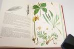Groot Kruiden Gezondheidsboek — Kruiden & Goede Voeding, Ophalen of Verzenden, Gelezen, Kruiden en Alternatief