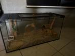 Glazen hamsterhok, terrarium., Dieren en Toebehoren, Zo goed als nieuw, 75 tot 110 cm, Ophalen, Minder dan 60 cm