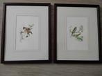 2 aquarels vogels door Maria Lariby., Antiek en Kunst, Ophalen of Verzenden