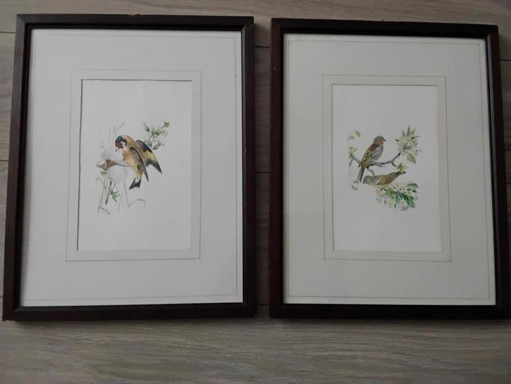 2 aquarels vogels door Maria Lariby., Antiek en Kunst, Kunst | Etsen en Gravures, Ophalen of Verzenden